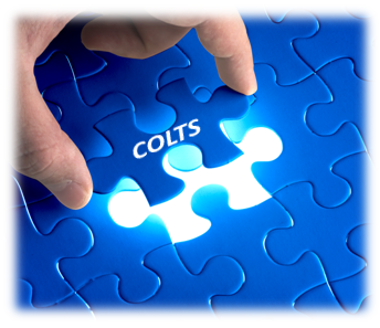 A picture using a jigsaw puzzle analogy for your business, with COLTS as the last piece being put into place in the puzzle